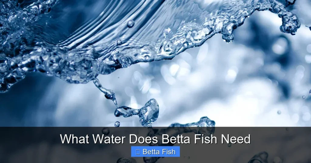 What Water Does Betta Fish Need