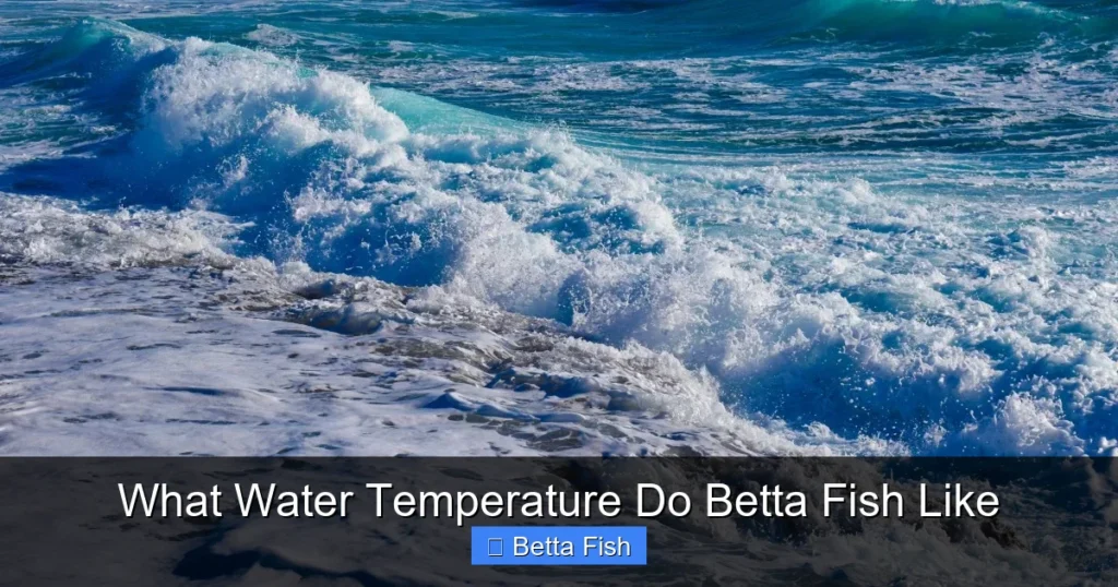 What Water Temperature Do Betta Fish Like
