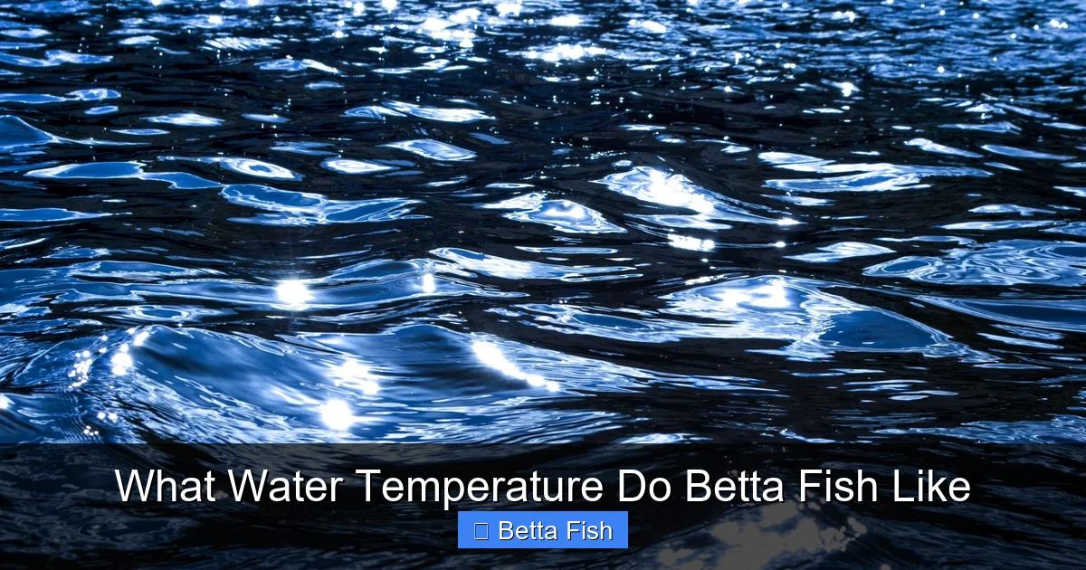 What Water Temperature Do Betta Fish Like