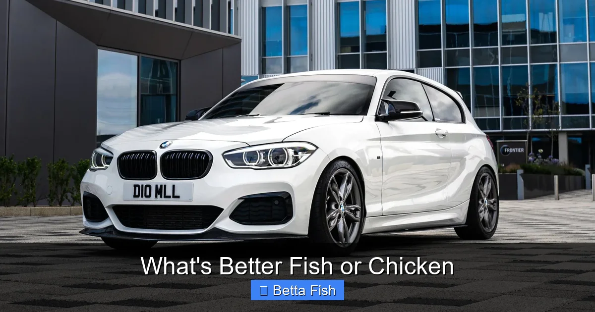 What's Better Fish or Chicken