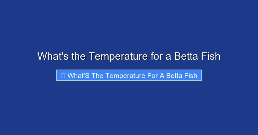 What's the Temperature for a Betta Fish
