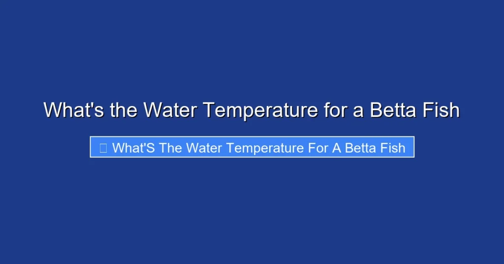 What's the Water Temperature for a Betta Fish