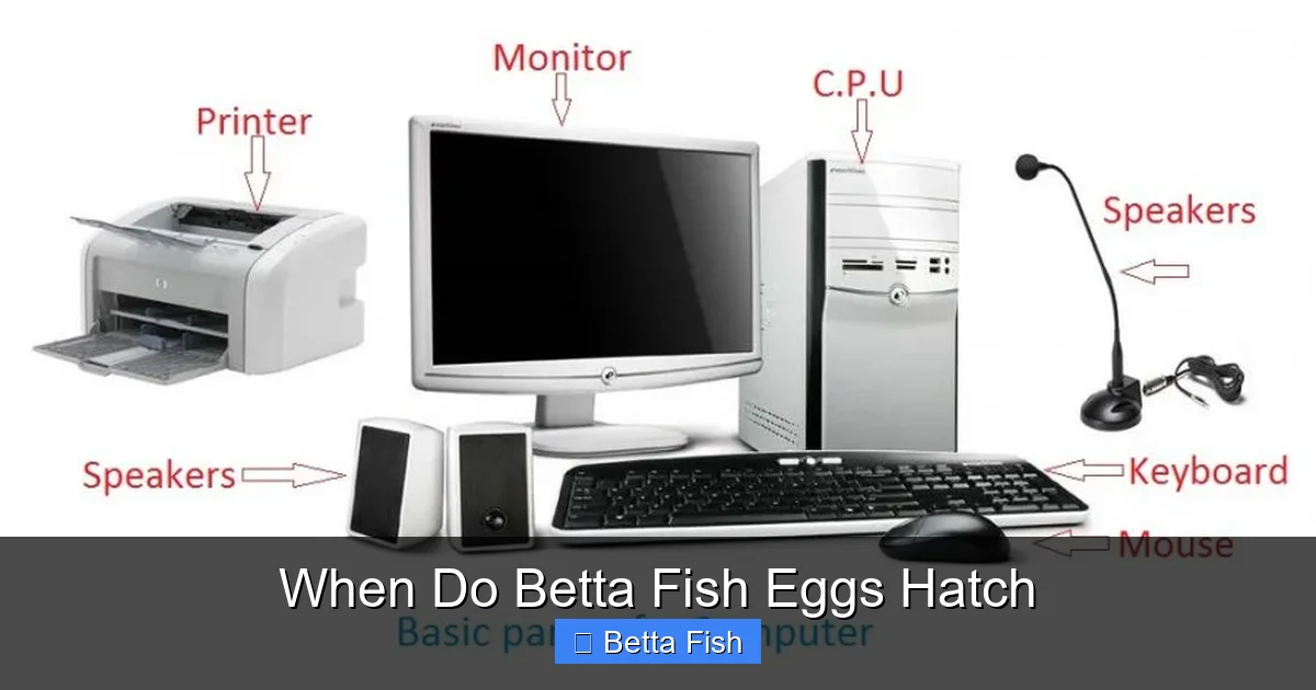 When Do Betta Fish Eggs Hatch