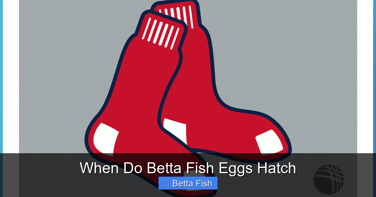 When Do Betta Fish Eggs Hatch