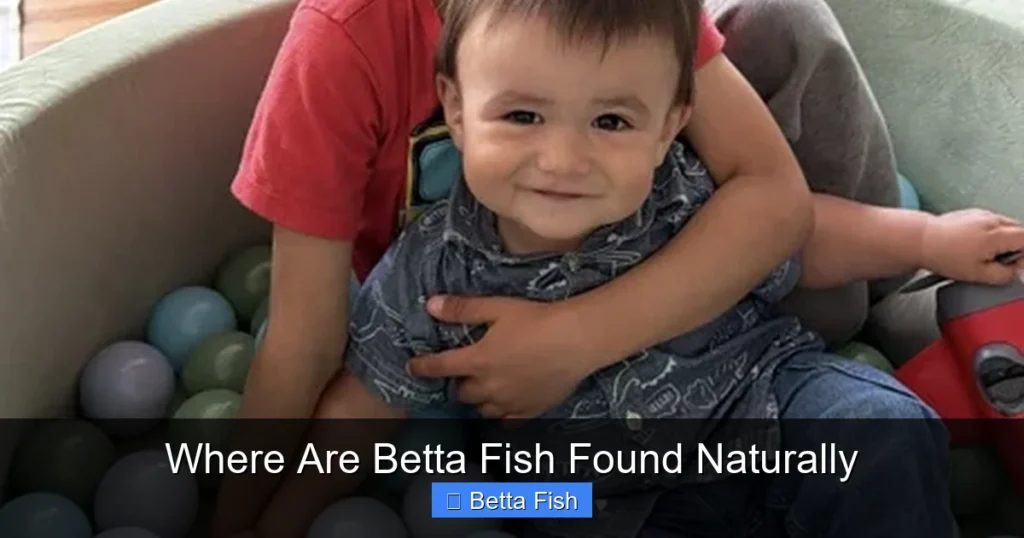 Where Are Betta Fish Found Naturally