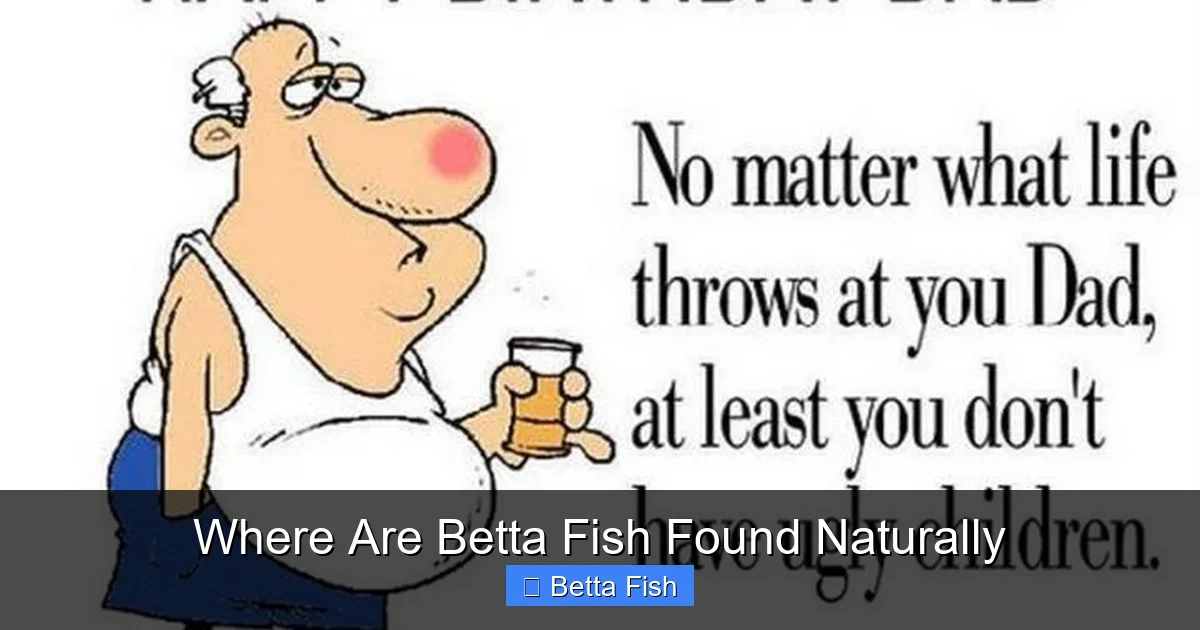 Where Are Betta Fish Found Naturally