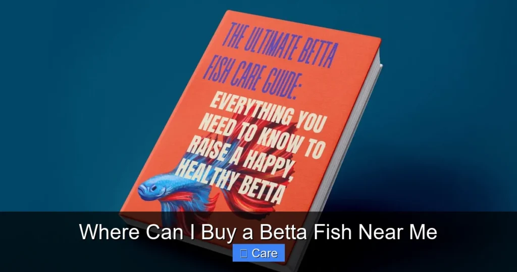 Where Can I Buy a Betta Fish Near Me