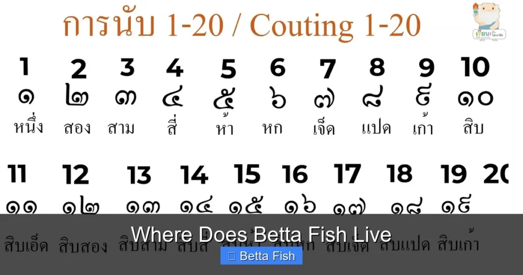 Where Does Betta Fish Live