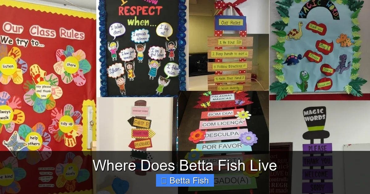 Where Does Betta Fish Live