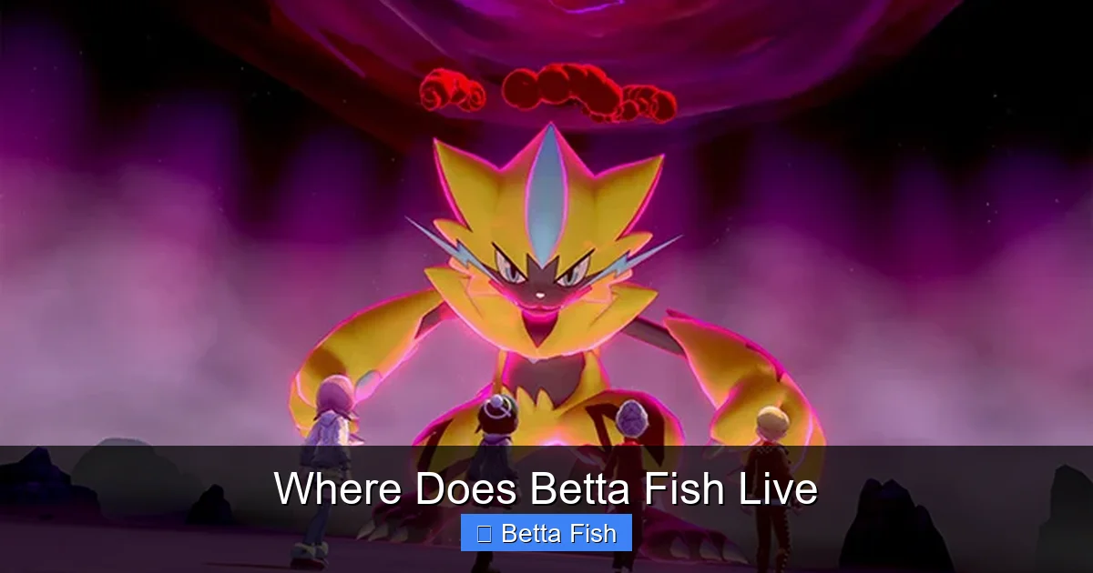 Where Does Betta Fish Live