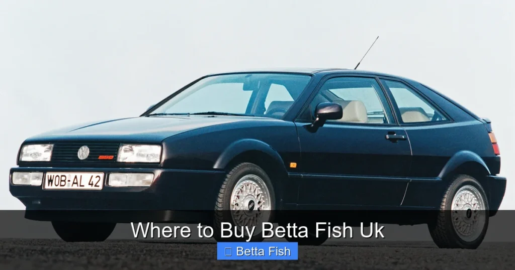 Where to Buy Betta Fish Uk