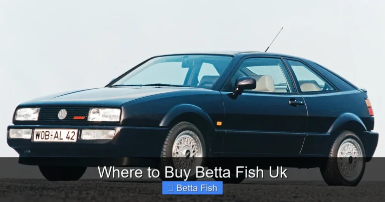 Where to Buy Betta Fish Uk