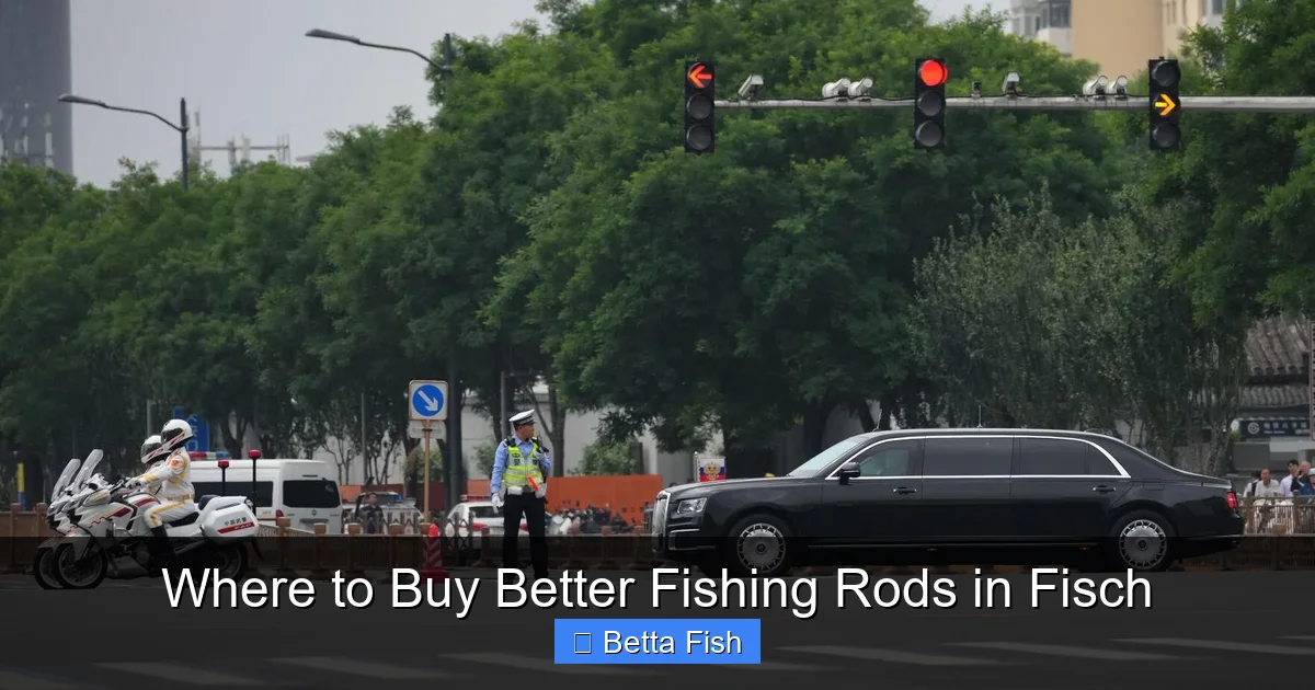 Where to Buy Better Fishing Rods in Fisch