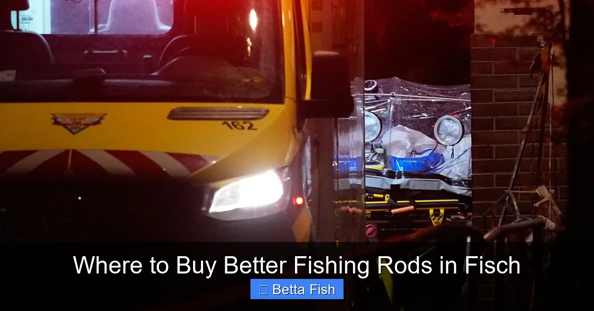 Where to Buy Better Fishing Rods in Fisch