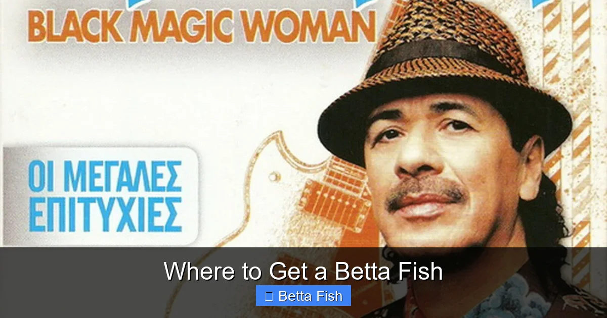Where to Get a Betta Fish
