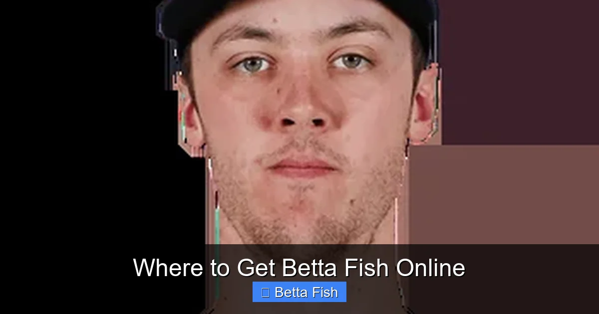 Where to Get Betta Fish Online