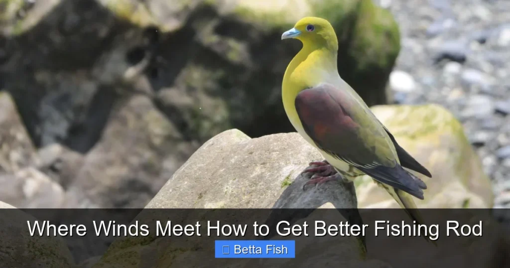 Where Winds Meet How to Get Better Fishing Rod