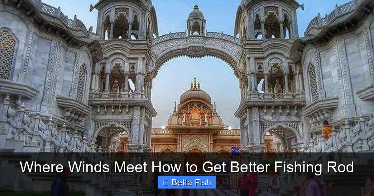 Where Winds Meet How to Get Better Fishing Rod