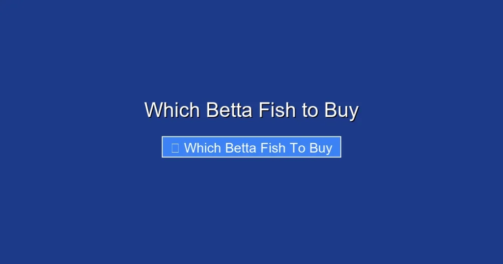 Which Betta Fish to Buy