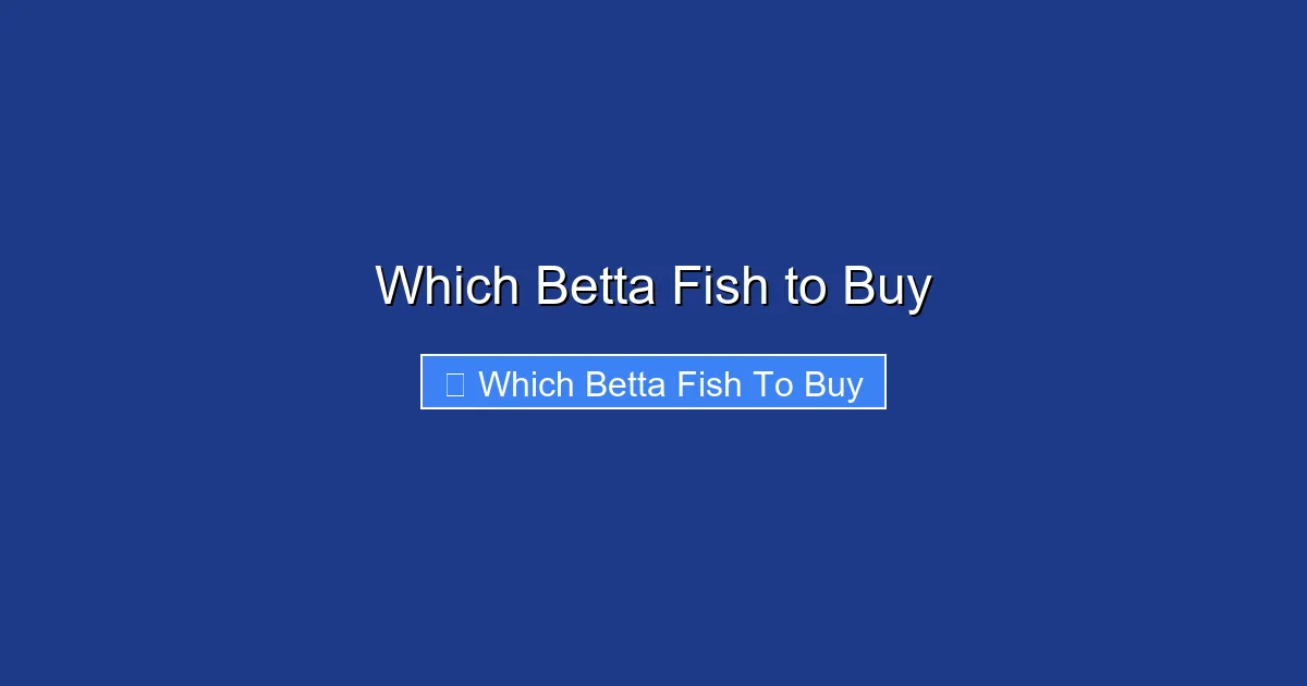 Which Betta Fish to Buy