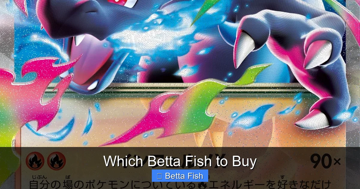 Which Betta Fish to Buy