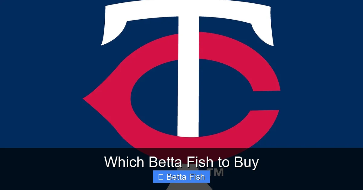 Which Betta Fish to Buy