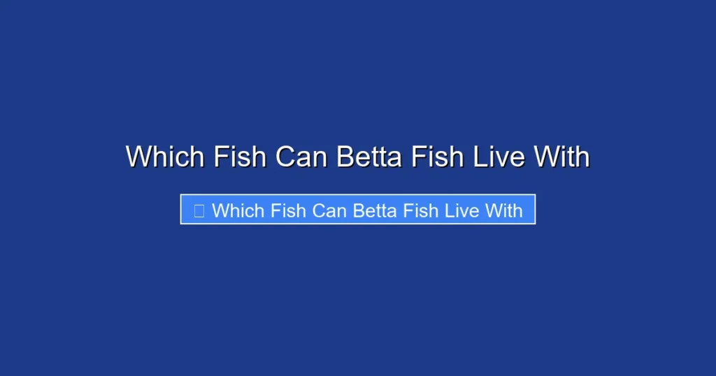Which Fish Can Betta Fish Live With