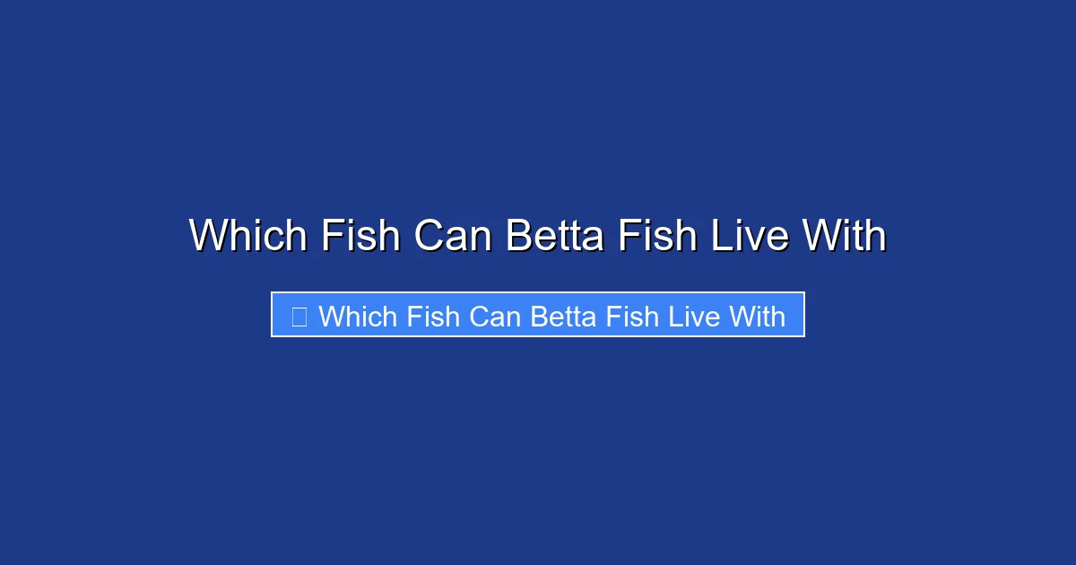 Which Fish Can Betta Fish Live With
