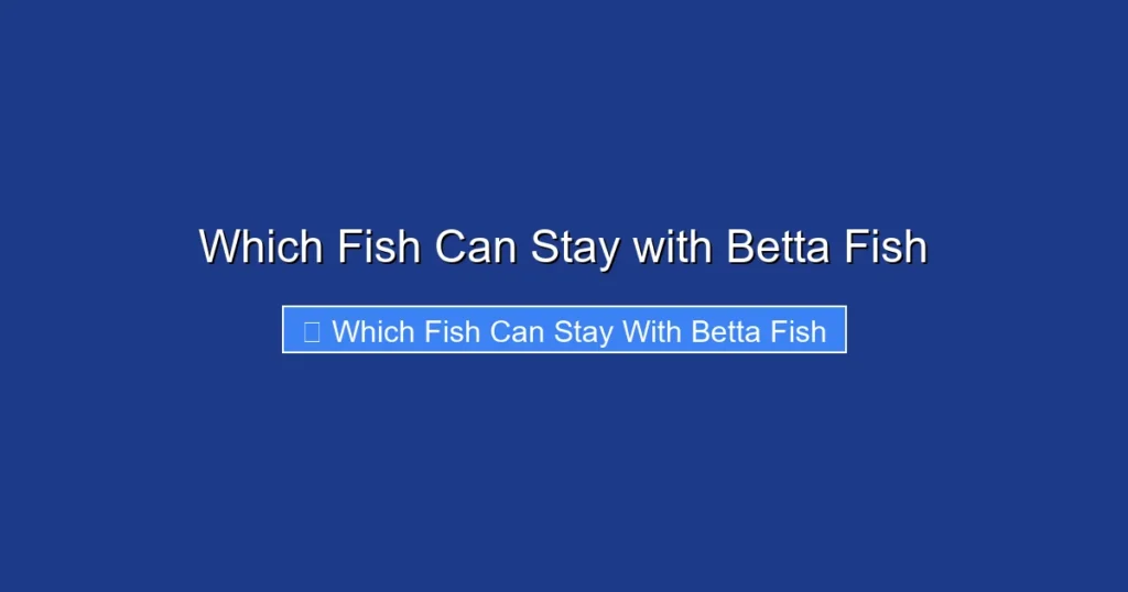 Which Fish Can Stay with Betta Fish
