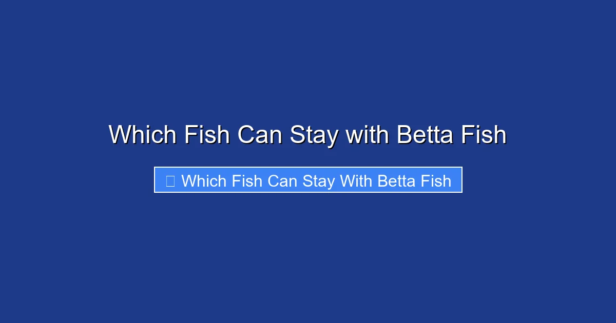 Which Fish Can Stay with Betta Fish