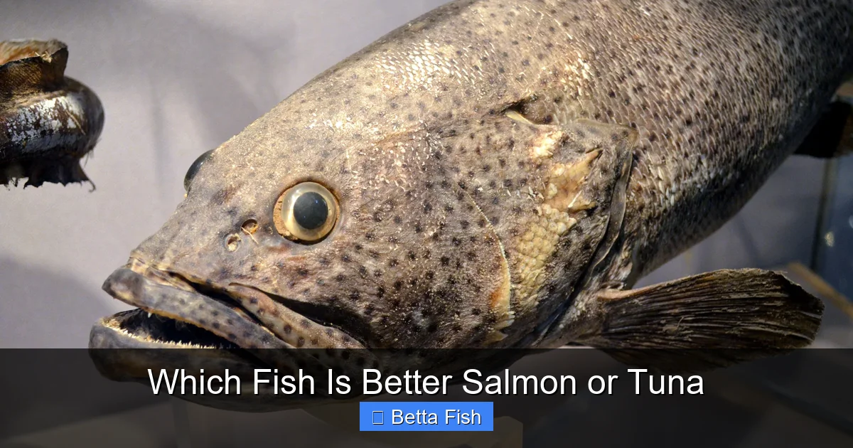 Which Fish Is Better Salmon or Tuna