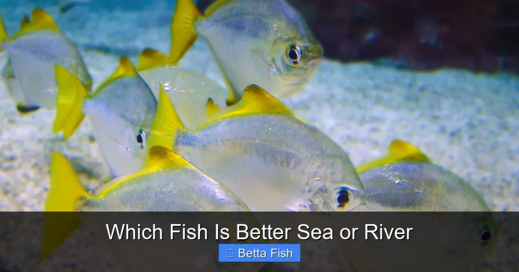 Which Fish Is Better Sea or River
