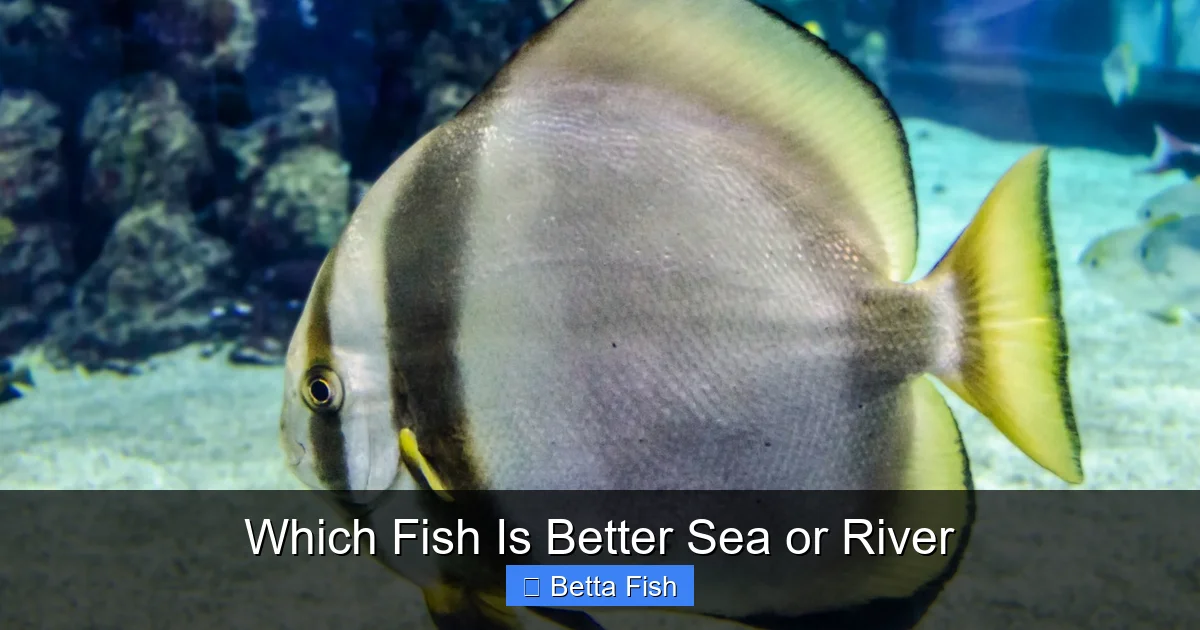 Which Fish Is Better Sea or River