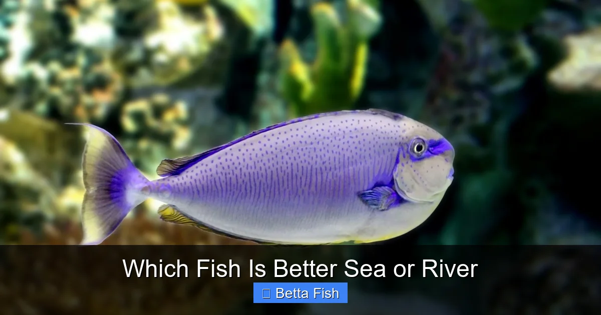 Which Fish Is Better Sea or River