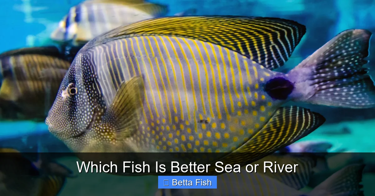 Which Fish Is Better Sea or River