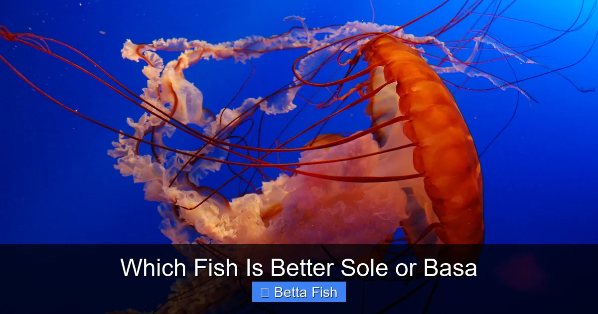 Which Fish Is Better Sole or Basa
