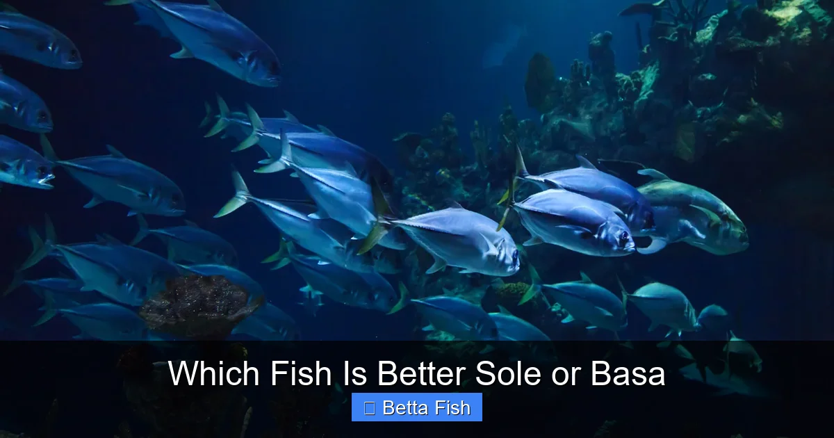 Which Fish Is Better Sole or Basa