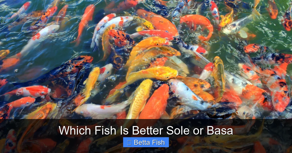 Which Fish Is Better Sole or Basa