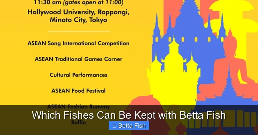 Which Fishes Can Be Kept with Betta Fish