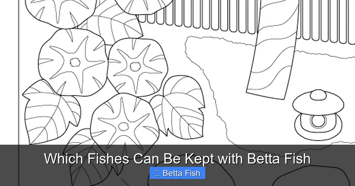 Which Fishes Can Be Kept with Betta Fish