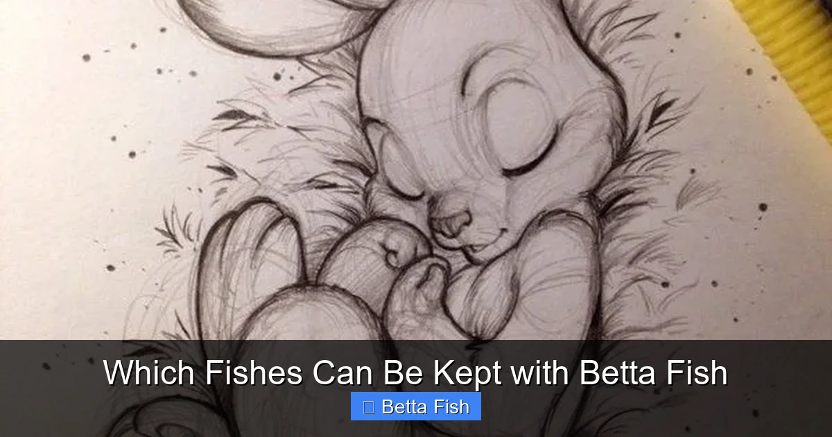 Which Fishes Can Be Kept with Betta Fish