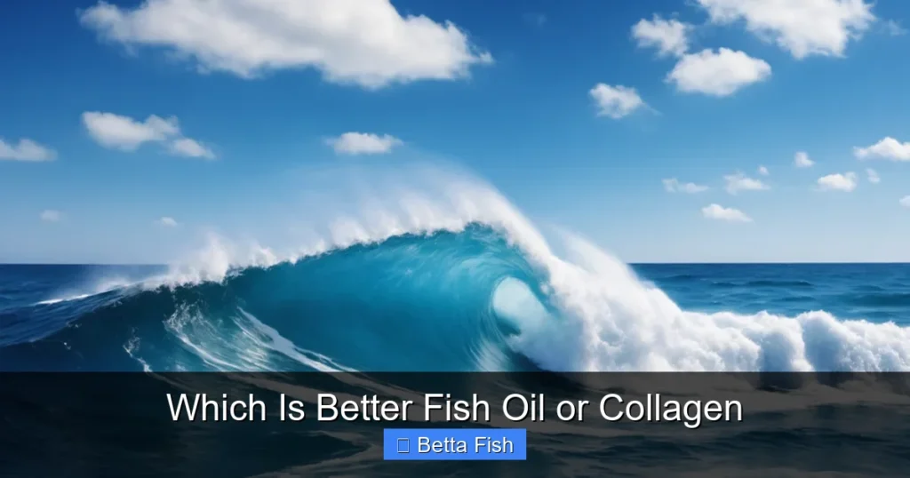 Which Is Better Fish Oil or Collagen