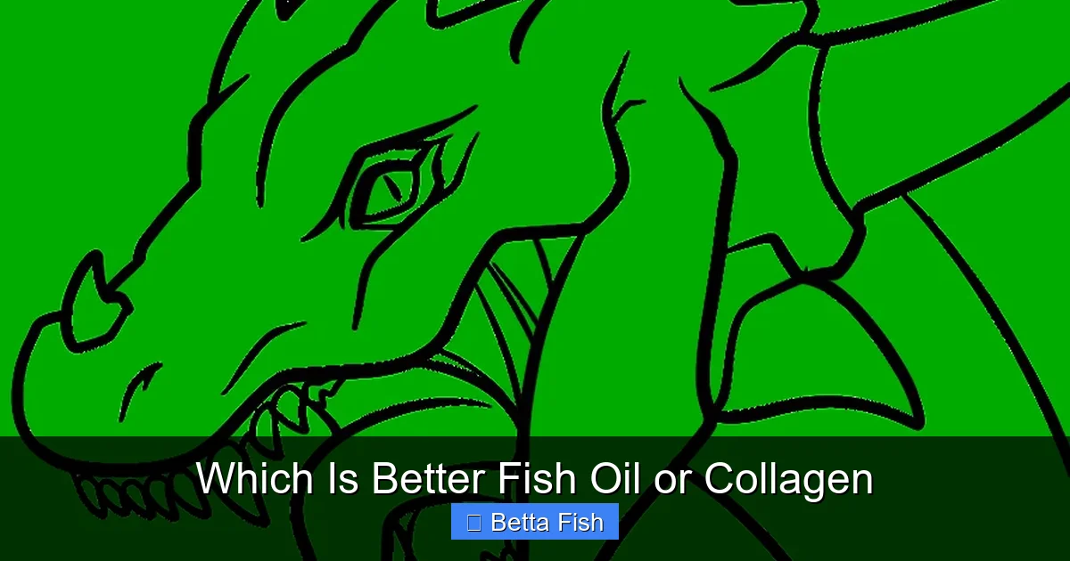 Which Is Better Fish Oil or Collagen