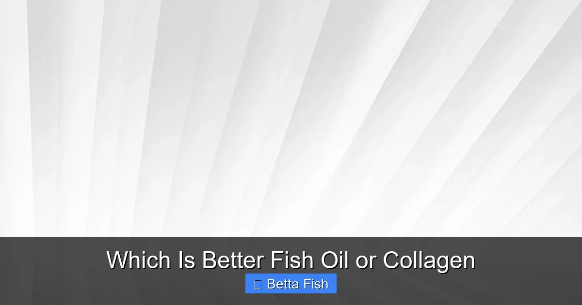 Which Is Better Fish Oil or Collagen