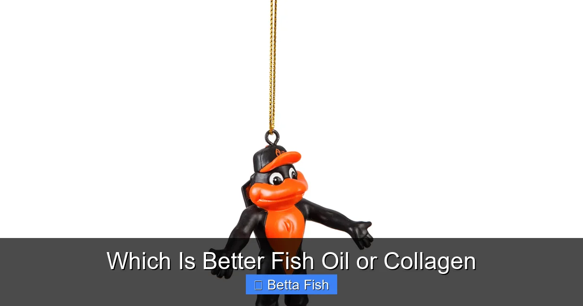 Which Is Better Fish Oil or Collagen