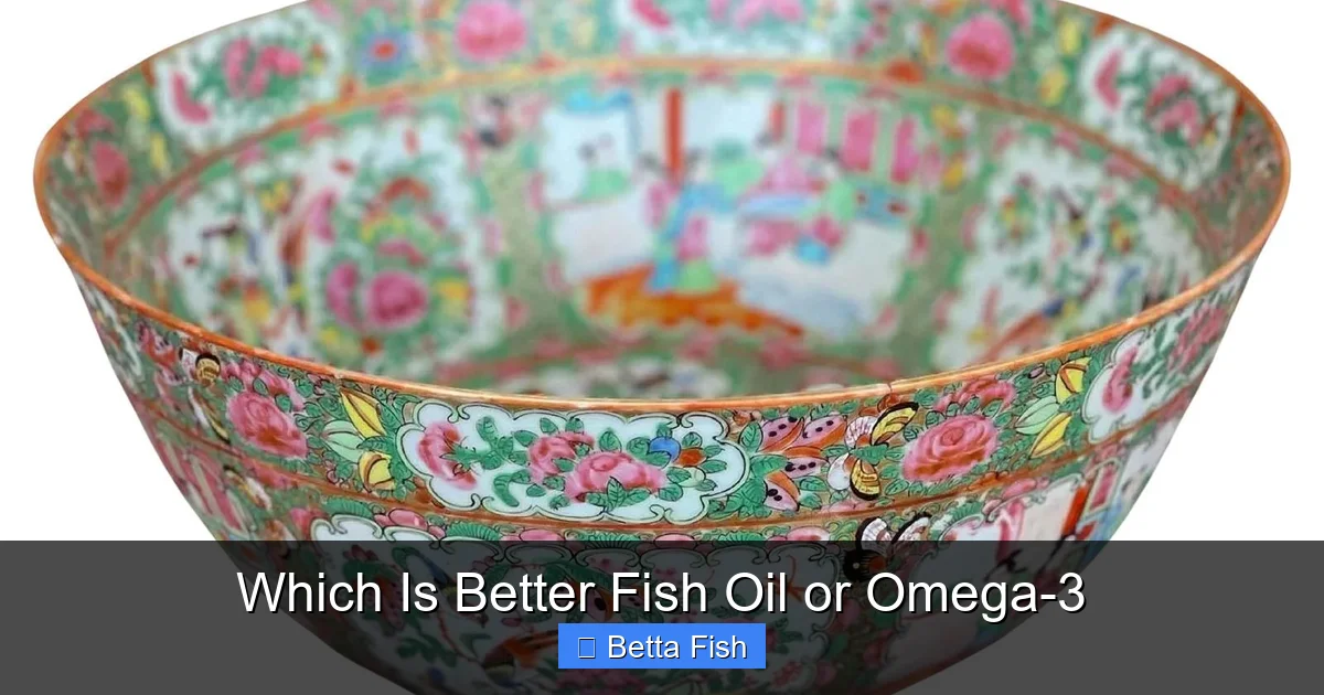 Which Is Better Fish Oil or Omega-3