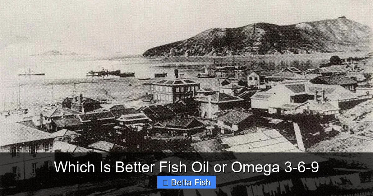 Which Is Better Fish Oil or Omega 3-6-9