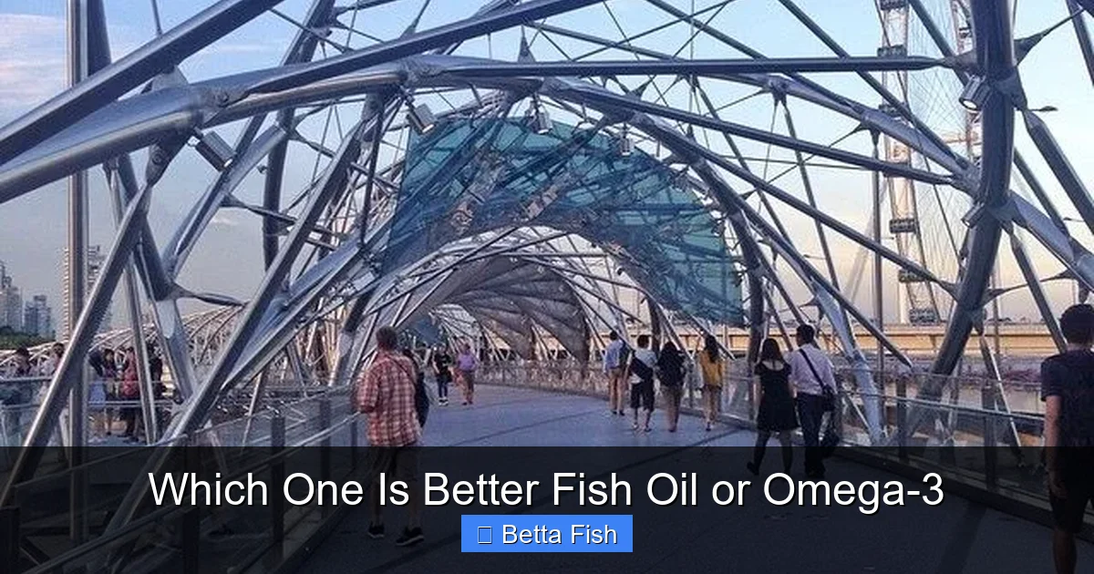 Which One Is Better Fish Oil or Omega-3
