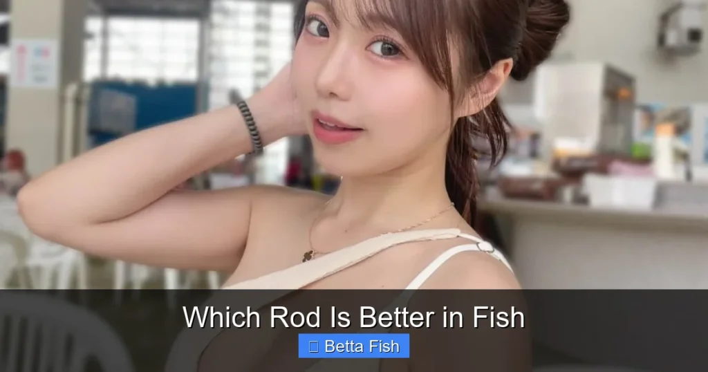 Which Rod Is Better in Fish