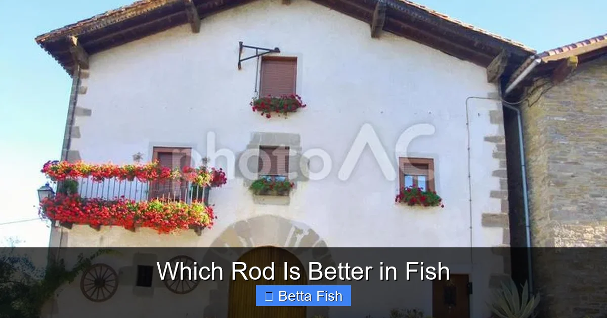 Which Rod Is Better in Fish